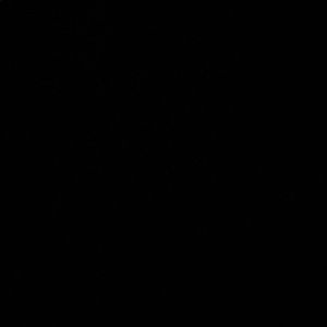 Meet your Posher, Kaiden